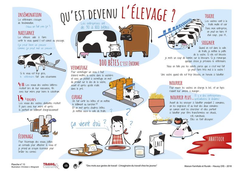 Planche illustrée